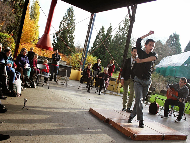 Granville Island Picnic Pavilion